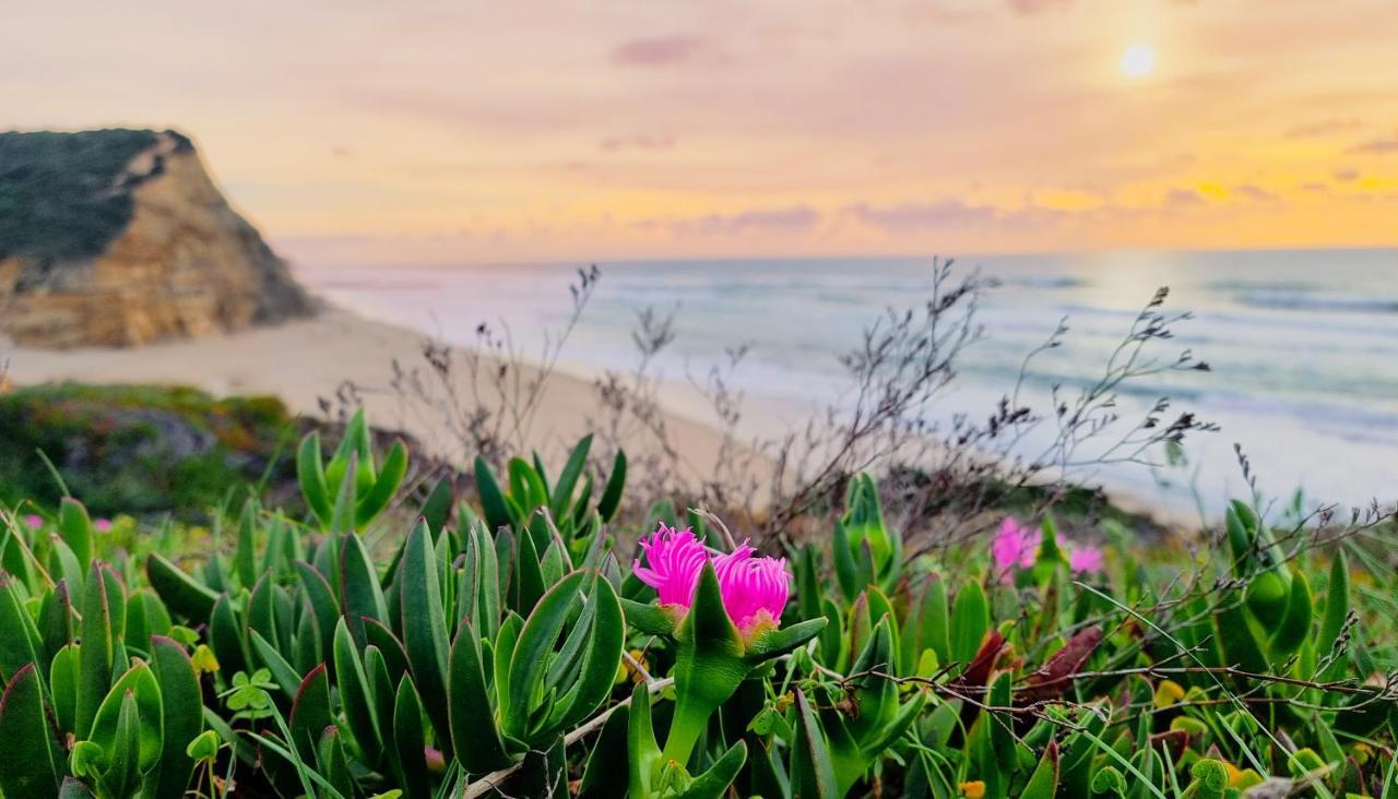 Hotel Tika Surf Camp Ericeira Carvoeira Zewnętrze zdjęcie